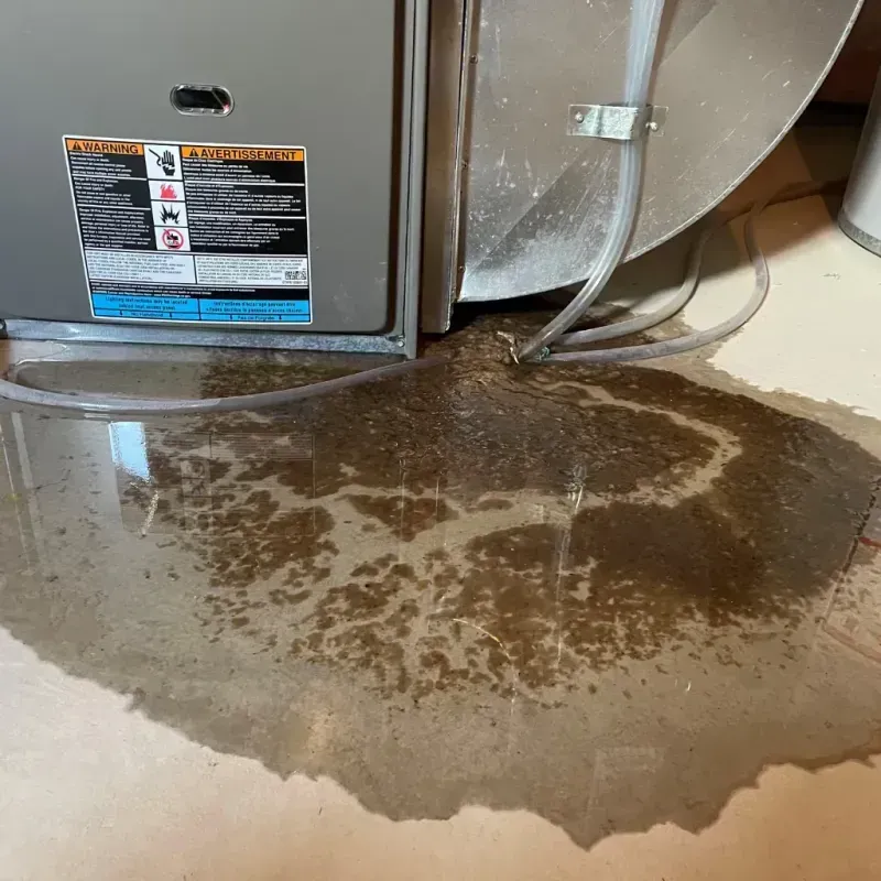 Appliance Leak Cleanup in Great Falls, MT